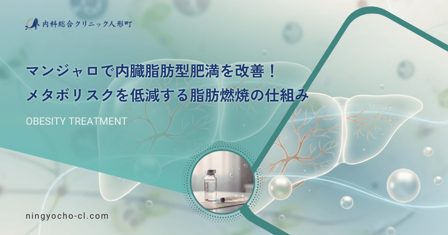 マンジャロで内臓脂肪型肥満を改善！メタボリスクを低減する脂肪燃焼の仕組み
