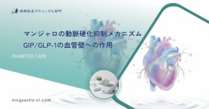 マンジャロの動脈硬化抑制メカニズム｜GIP/GLP-1の血管壁への作用