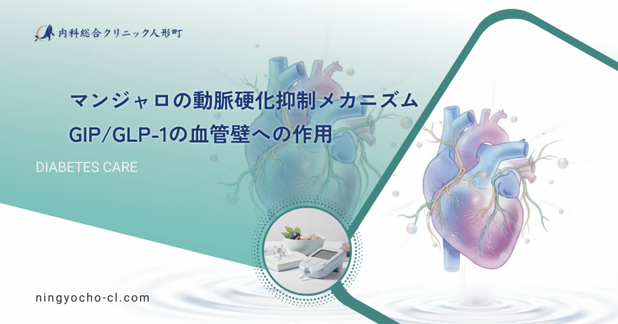 マンジャロの動脈硬化抑制メカニズム|GIP/GLP-1の血管壁への作用