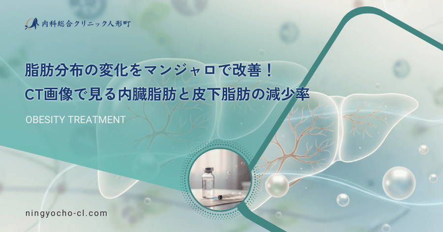 脂肪分布の変化をマンジャロで改善！CT画像で見る内臓脂肪と皮下脂肪の減少率