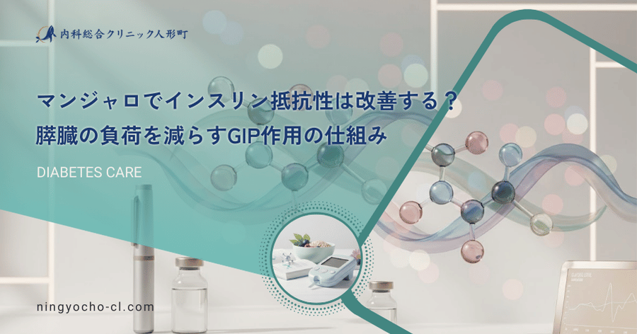 マンジャロでインスリン抵抗性は改善する？膵臓の負荷を減らすGIP作用の仕組み