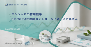 マンジャロの作用機序｜GIP/GLP-1が血糖コントロールに効くメカニズム