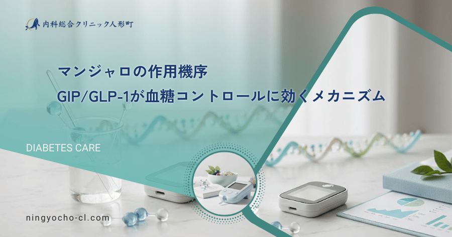 マンジャロの作用機序｜GIP/GLP-1が血糖コントロールに効くメカニズム