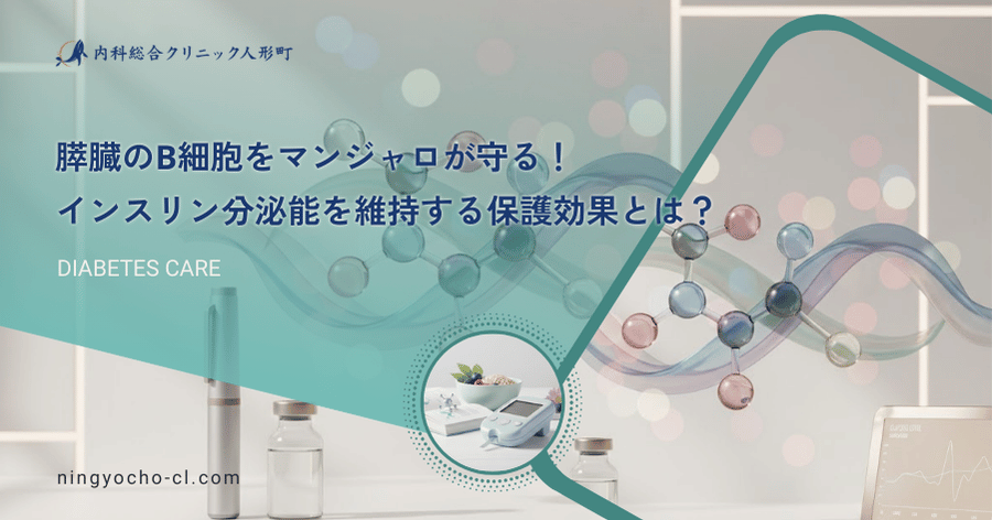 膵臓のβ細胞をマンジャロが守る！インスリン分泌能を維持する保護効果とは？