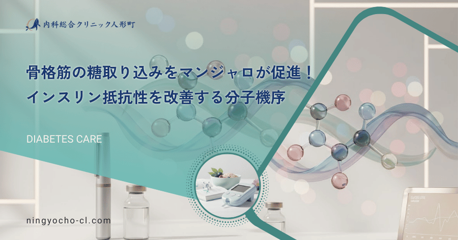 骨格筋の糖取り込みをマンジャロが促進！インスリン抵抗性を改善する分子機序