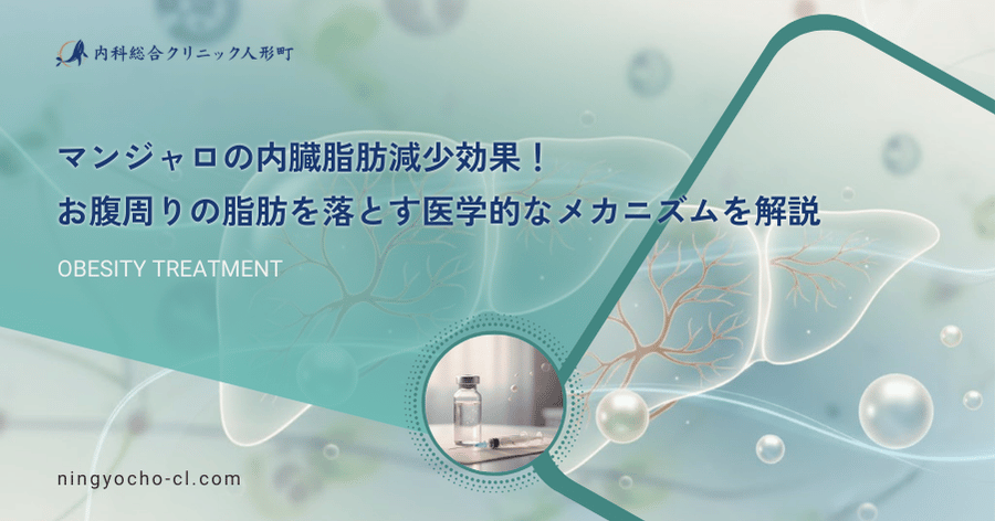 マンジャロの内臓脂肪減少効果！お腹周りの脂肪を落とす医学的なメカニズムを解説