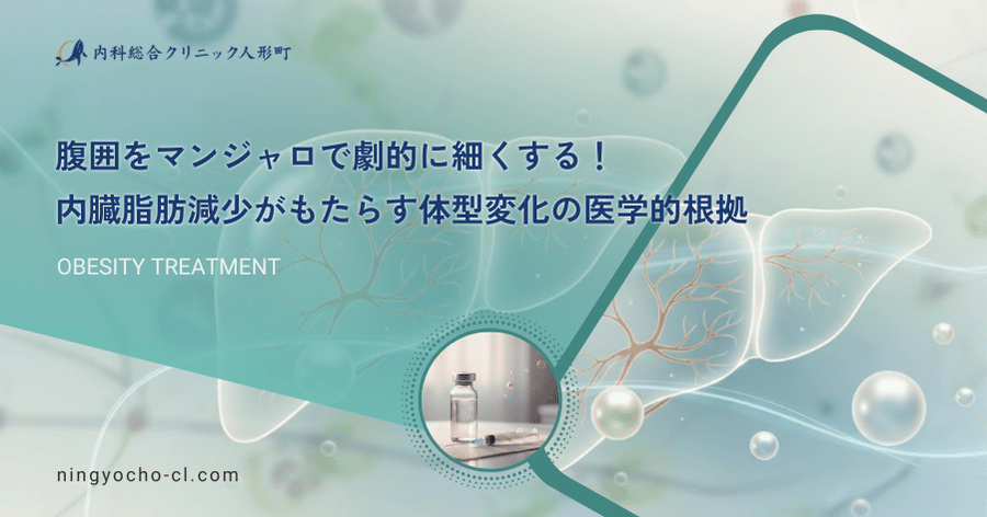 腹囲をマンジャロで劇的に細くする！内臓脂肪減少がもたらす体型変化の医学的根拠