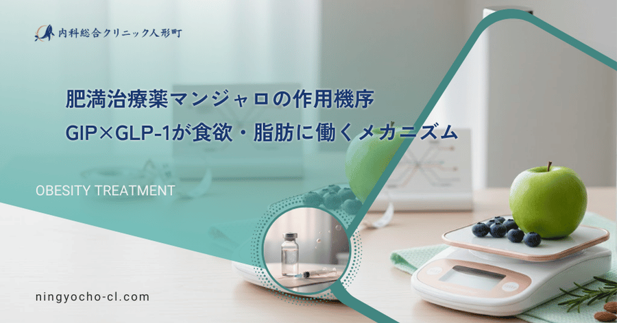 肥満治療薬マンジャロの作用機序｜GIP×GLP-1が食欲・脂肪に働くメカニズム