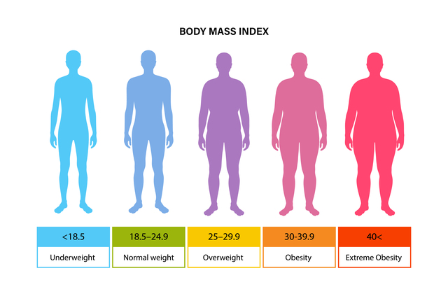 体格指数。太りすぎから痩せすぎまでの範囲。