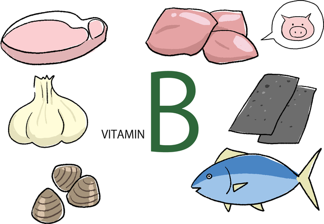ビタミンBが多く含まれる食品