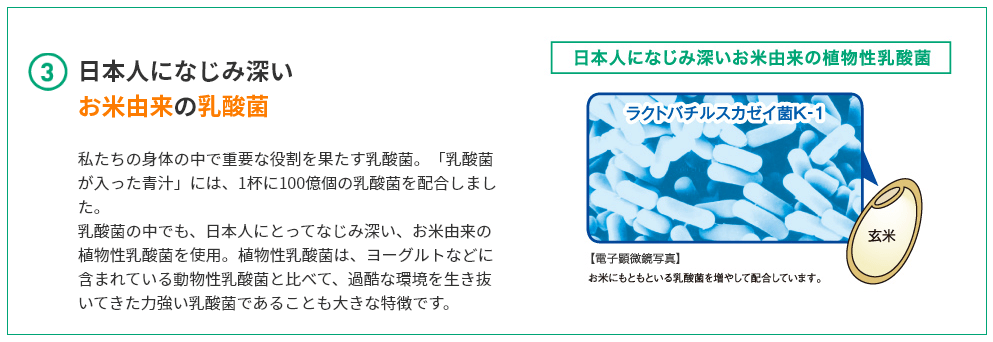 出典：日本人になじみのあるお米由来の乳酸菌（乳酸菌が入った青汁｜世田谷自然食品）