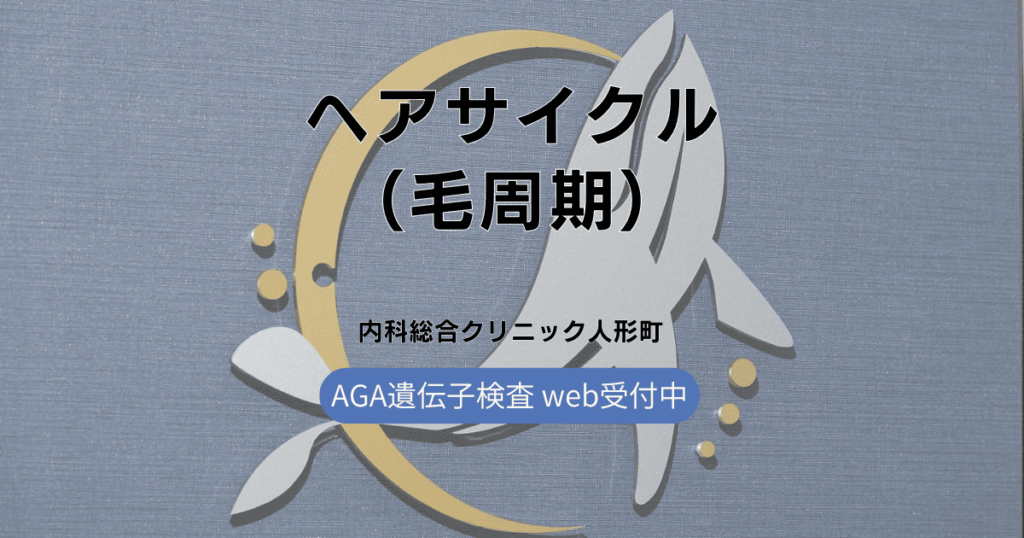 ヘアサイクル（毛周期）