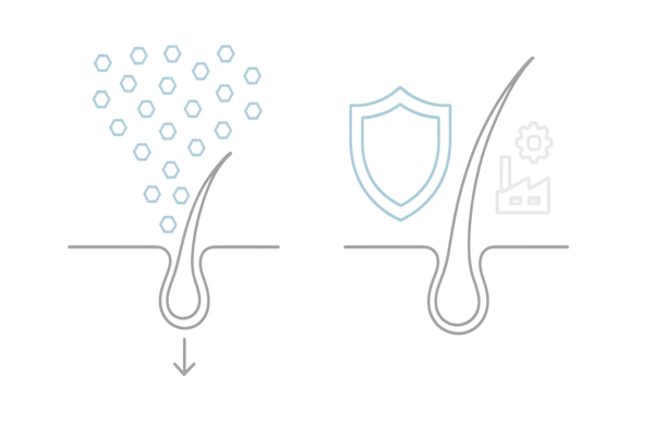 デュタステリドの作用メカニズム：未治療との比較イメージ（DHT抑制）