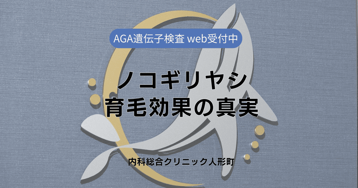 ノコギリヤシによる育毛効果の真実とは？メカニズムを徹底解説