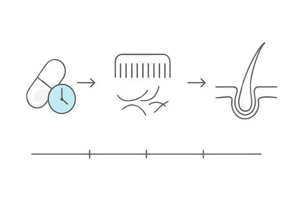 ノコギリヤシの正しい摂取方法と1～6か月の変化の流れ｜継続使用タイムライン