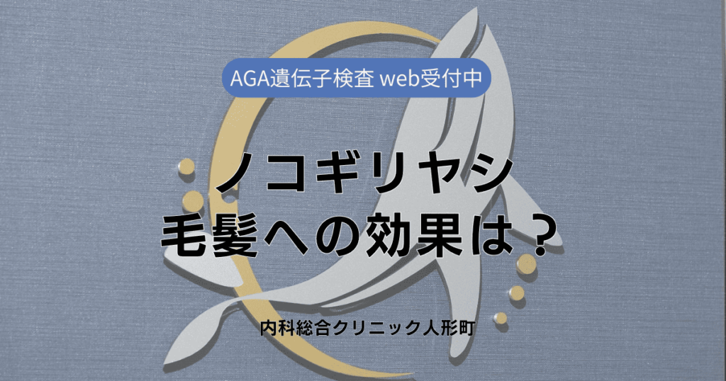 ノコギリヤシの毛髪への効果は？長期使用による変化と注意点