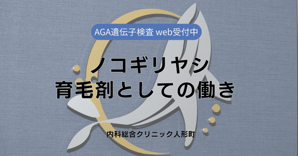 ノコギリヤシ育毛剤の働きを解説！長期使用での変化と期待できる効果とは