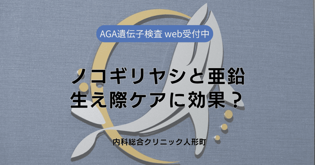 ノコギリヤシと亜鉛の組み合わせは生え際ケアに効果的？知識の基本と効果的な使い方