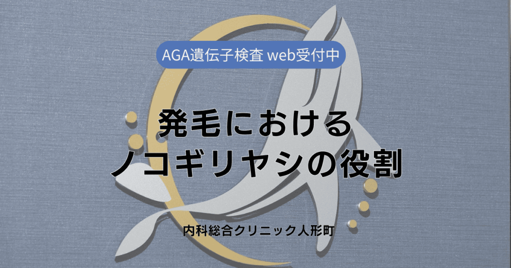 発毛におけるノコギリヤシの役割 - 医学的見解と効果を実感するためのポイント