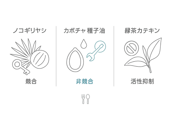 5αリダクターゼを抑える植物成分の比較｜ノコギリヤシ・カボチャ種子油・緑茶カテキン