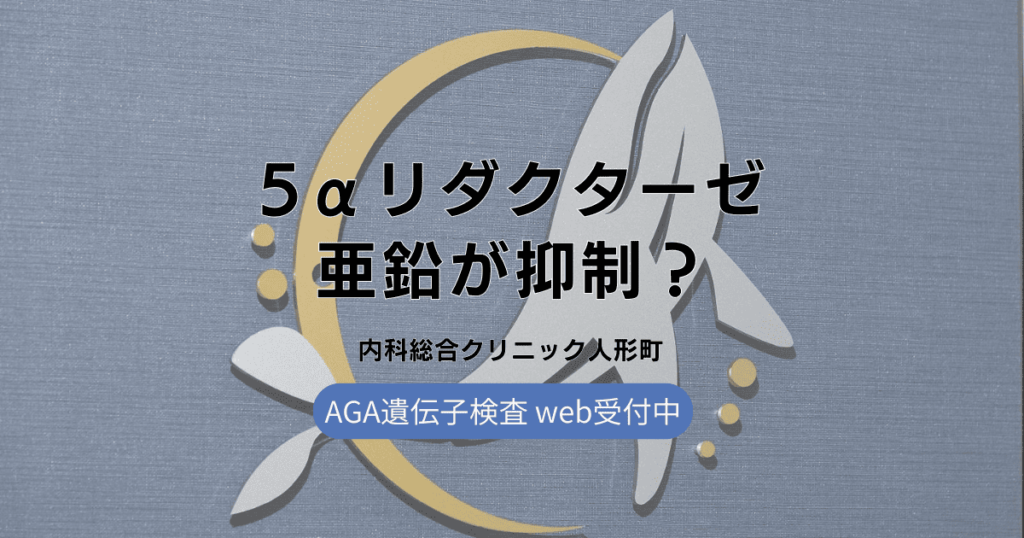 5αリダクターゼを抑える？亜鉛の摂取方法と効果的なAGA対策を解説