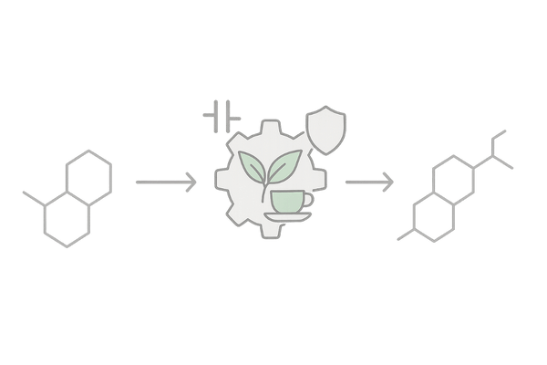 ウーロン茶ポリフェノールと5αリダクターゼの関係（テストステロン→DHTの概念図／AGA対策）