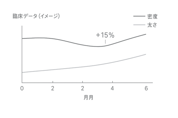 キャピキシルの臨床データイメージ：2–6か月の毛髪密度・毛髪径の推移（例示）