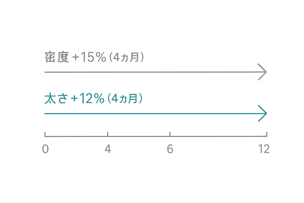 キャピキシルの臨床効果推移｜4〜6ヶ月の密度・太さの改善を可視化