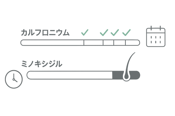 効果発現時期と持続性の比較（カルプロニウム塩化物とミノキシジル）タイムライン