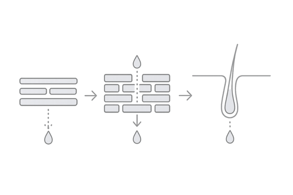 ペンタデカンの浸透促進メカニズム図解(角質層・細胞間隙・毛包経路)