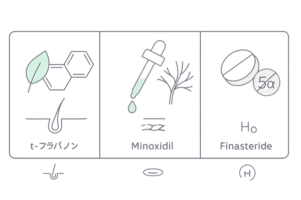 t-フラバノン・ミノキシジル・フィナステリドの作用の違い｜3カード比較イラスト
