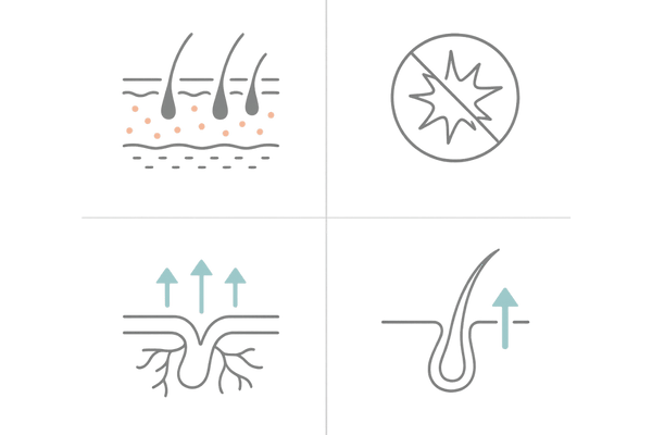 t-フラバノンとミノキシジルの作用比較図（抗炎症・抗酸化 vs 血管拡張・毛包活性）