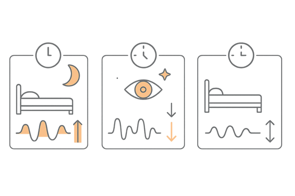 睡眠の質とホルモンバランス｜5αリダクターゼ活性に影響する睡眠段階イメージ