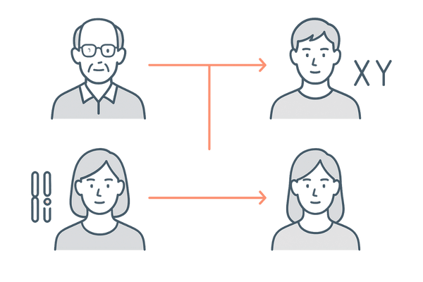 X染色体連鎖の母系遺伝パターン（母方祖父→母→息子）と父→娘の伝達図