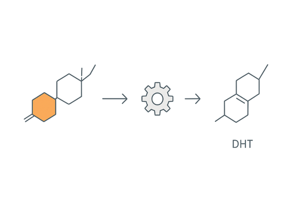 5αリダクターゼがテストステロンをDHTに変換する仕組みのイメージ図