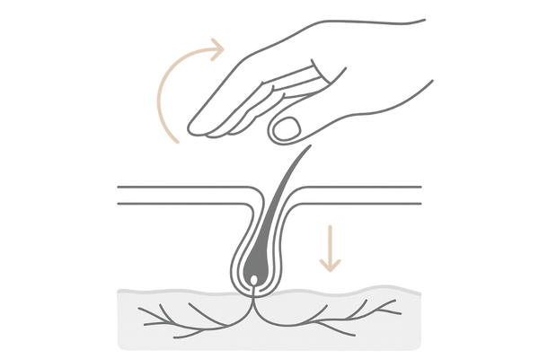 頭皮マッサージで血行促進｜毛包への栄養供給イメージ