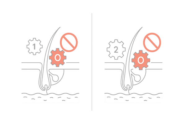 デュタステリドとフィナステリドの違い｜1型・2型5αリダクターゼ作用範囲の比較図