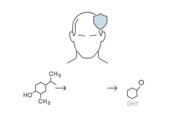フィナステリドの作用機序図解（テストステロン→DHT／5αリダクターゼ阻害でAGA進行抑制）