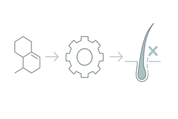フィンペシア（フィナステリド）がDHT産生を抑えてAGA進行を抑制する仕組みの図解