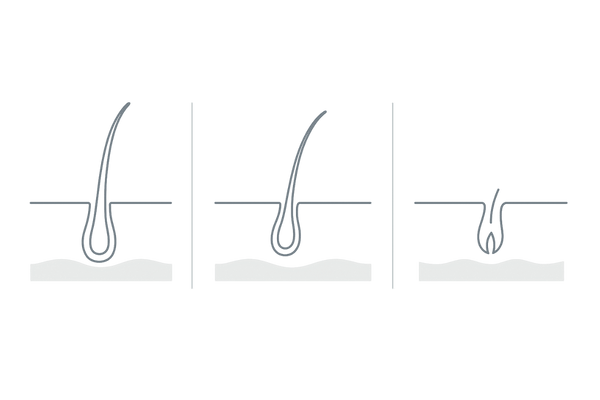 抜け毛のヘアサイクルを示す男性向け説明イラスト（成長期・退行期・休止期）
