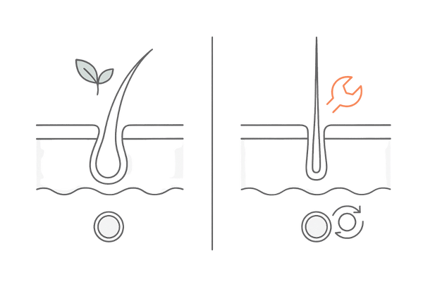 自毛植毛と人工毛植毛の違い イラスト|自然さ・メンテナンス頻度・費用構成のイメージ