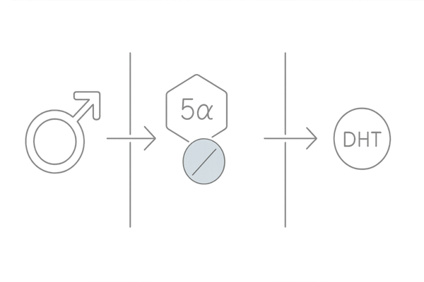 プロペシアがDHT産生を抑える仕組みの簡略図（妊活中にも説明しやすい構成）