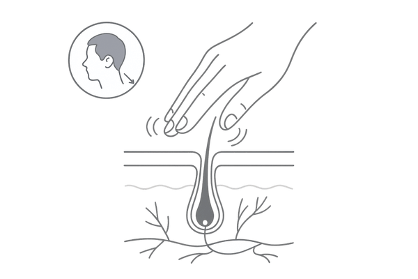 頭皮マッサージの正しい基本動作｜頭皮断面と指の腹の円運動