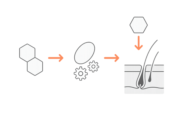 ジヒドロテストステロン生成の流れと毛包ミニチュア化（AGAメカニズム図解・文字なし）
