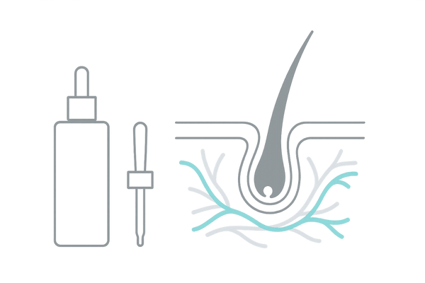 ミノキシジルの血管拡張作用と頭皮への働きを示す断面イメージ