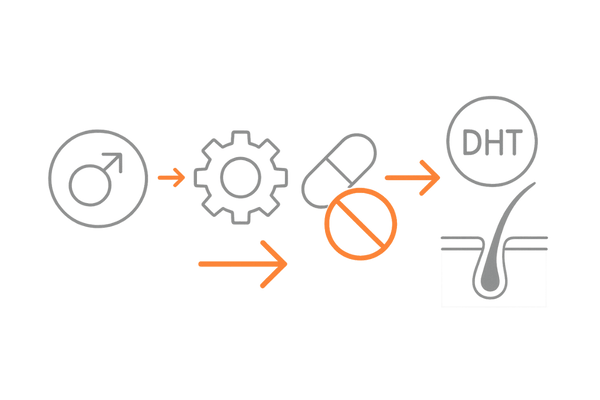 デュタステリドによるDHT抑制メカニズムと5α還元酵素阻害のイメージ図