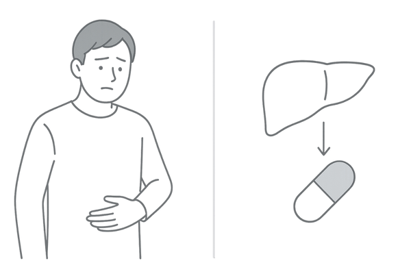 肝臓で代謝されるデュタステリドと肝機能への配慮イメージ