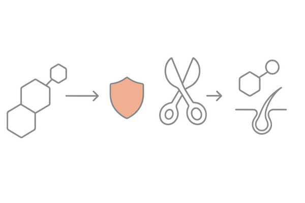 フィナステリドがDHT生成を抑える仕組み図（AGAメカニズム）