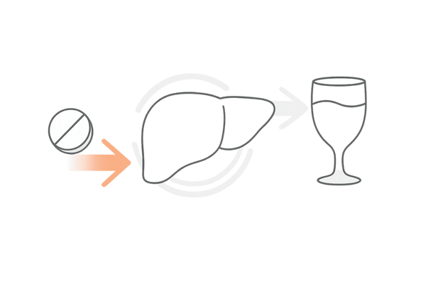 フィナステリドとアルコールの肝臓代謝イメージ図