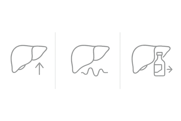 肝機能の主要検査項目AST・ALT・γGTPのイメージ